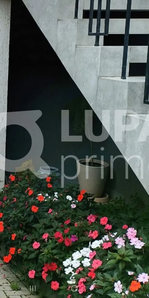 Casa, 3 quartos, 189 m² - Foto 5