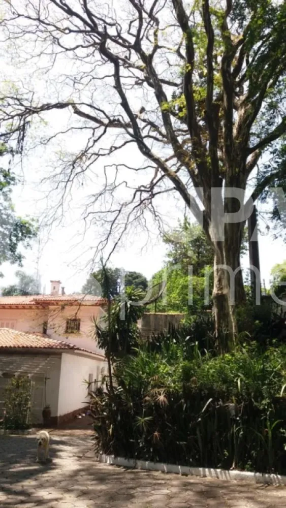 Terreno, 5500 m² - Foto 4
