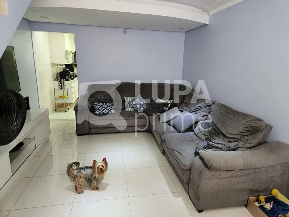 Casa, 4 quartos, 215 m² - Foto 1