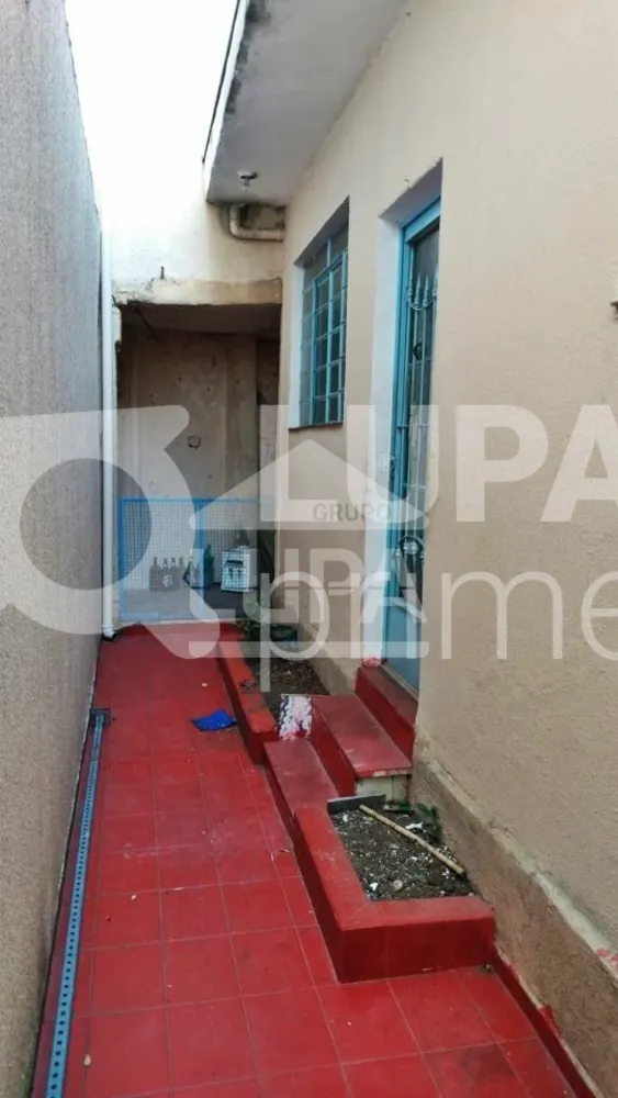 Casa, 4 quartos, 180 m² - Foto 16