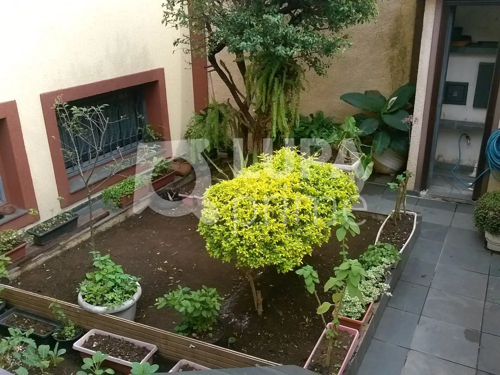 Casa, 3 quartos, 338 m² - Foto 6
