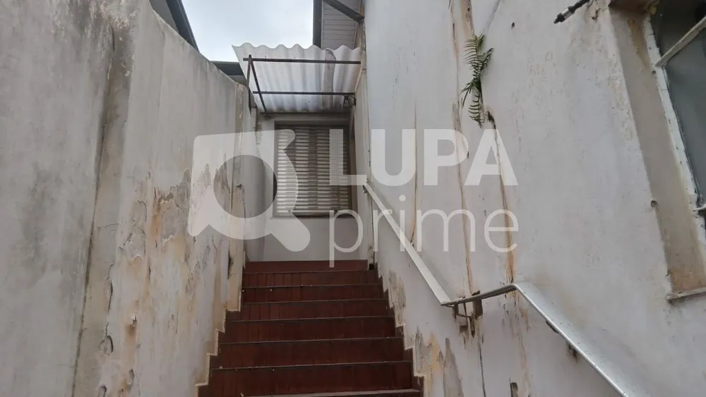 Casa, 3 quartos, 200 m² - Foto 13