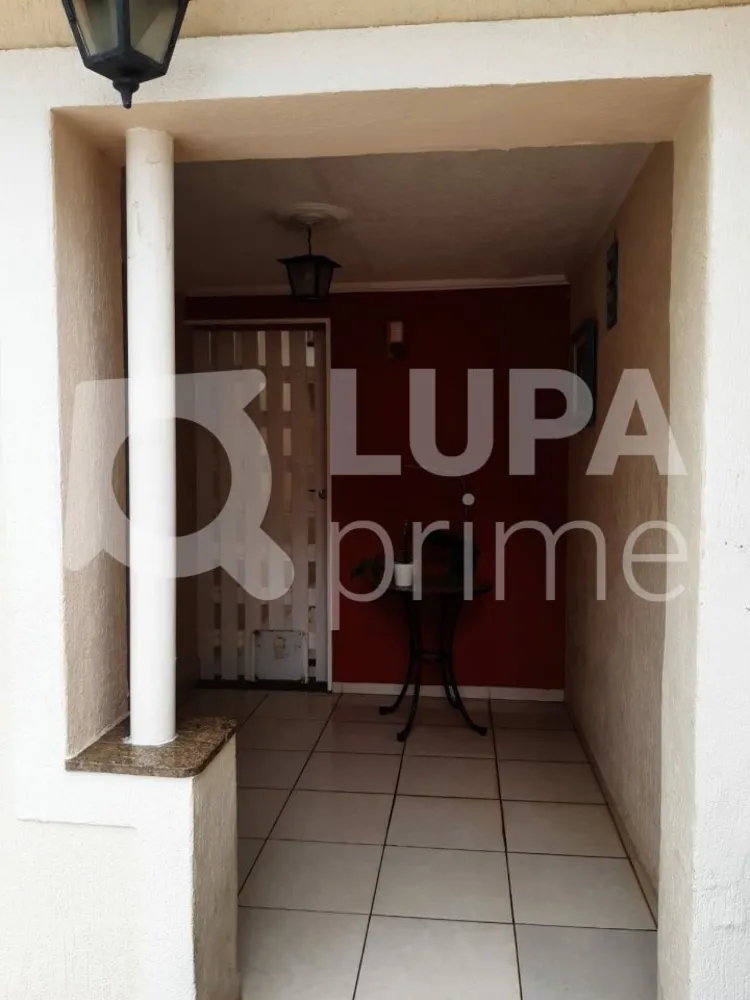 Casa, 4 quartos, 272 m² - Foto 14