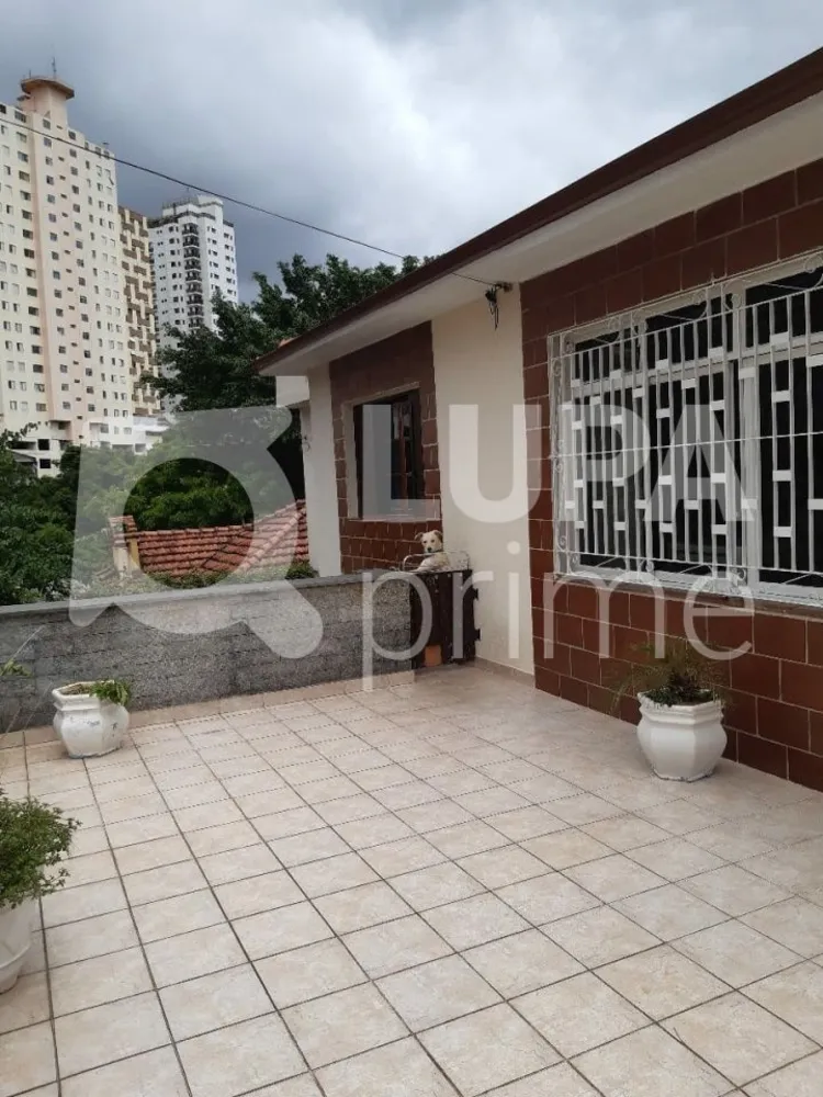 Casa, 4 quartos, 272 m² - Foto 6