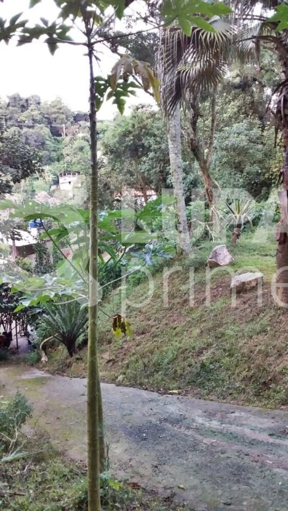 Terreno, 2438 m² - Foto 4