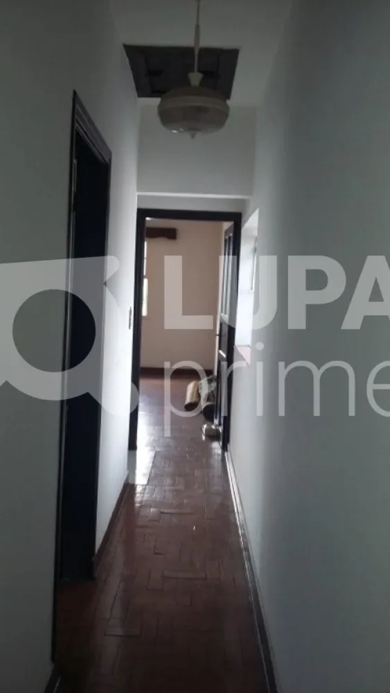 Casa, 3 quartos, 170000 m² - Foto 1