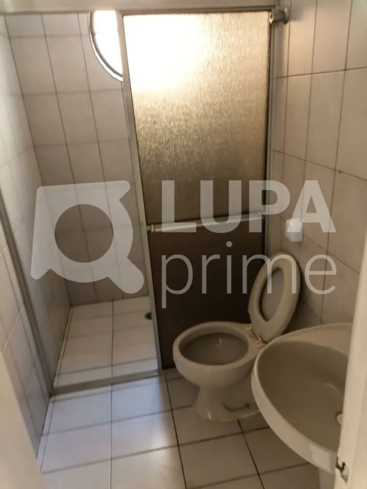 Casa, 4 quartos, 180 m² - Foto 12