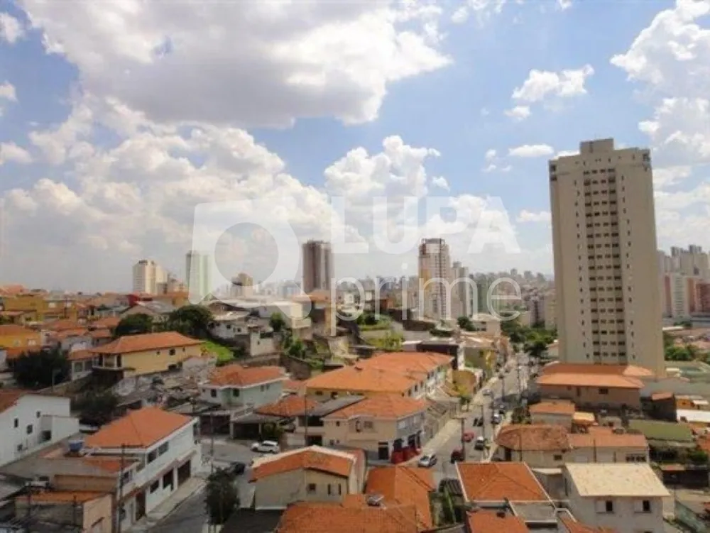 Apartamento, 3 quartos, 120 m² - Foto 10