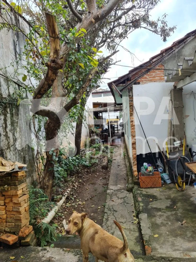 Casa, 3 quartos, 200 m² - Foto 2
