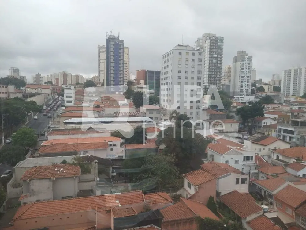 Sala-Conjunto, 353 m² - Foto 11
