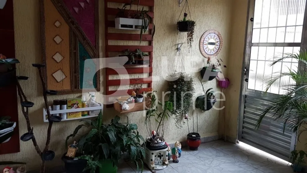 Casa, 4 quartos, 232 m² - Foto 7