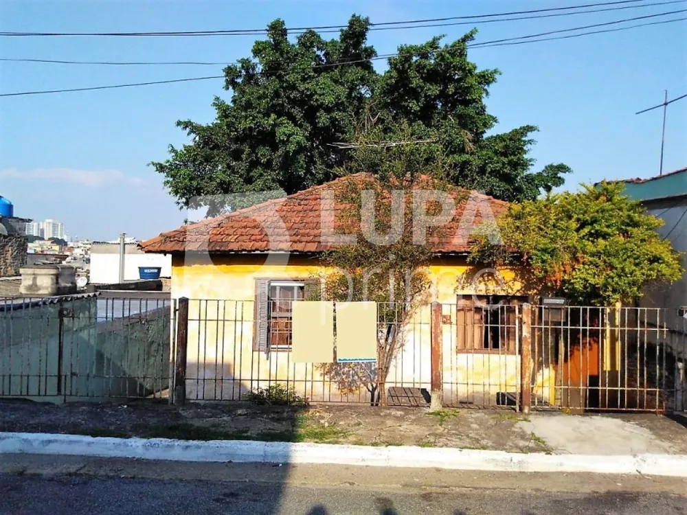 Terreno, 256 m² - Foto 6