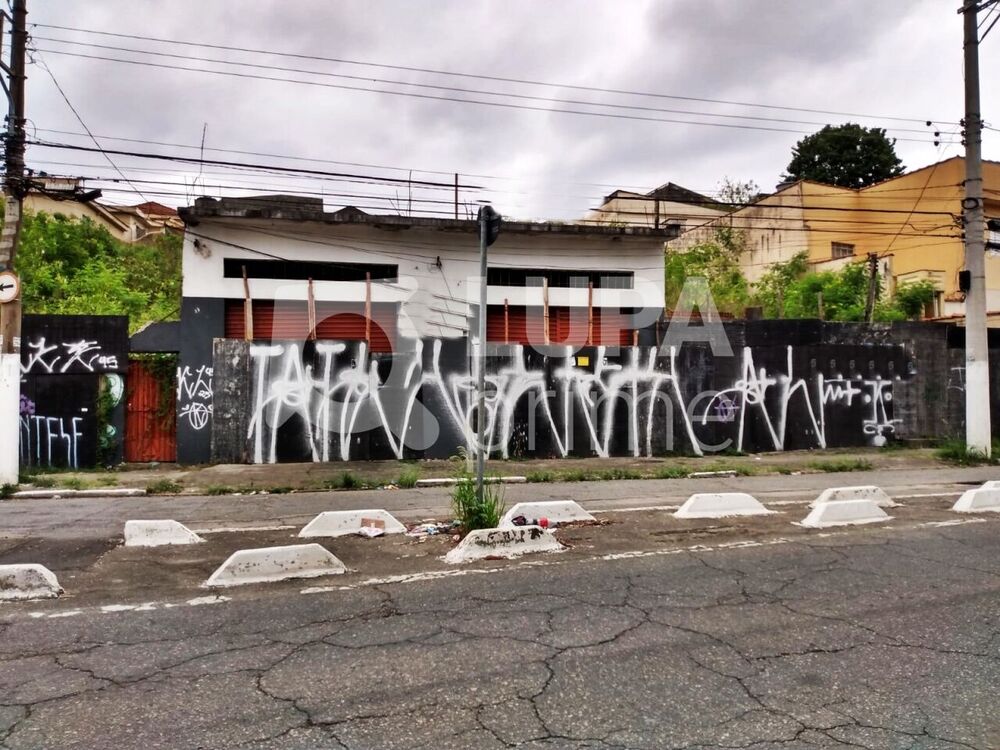 Terreno, 1317 m² - Foto 3