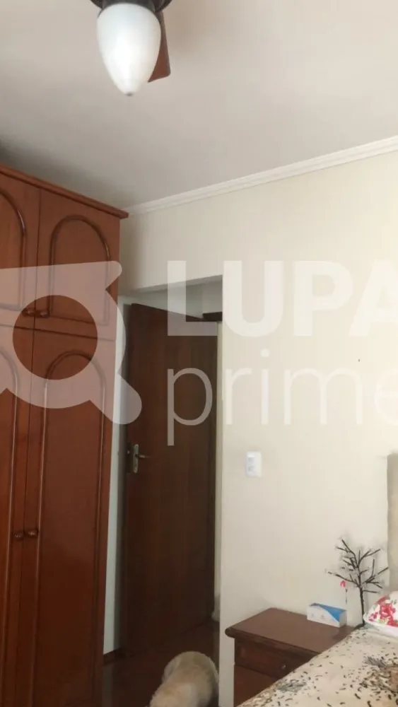 Casa, 3 quartos, 178 m² - Foto 11