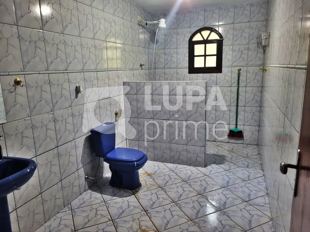 Chácara, 3 quartos, 1000 m² - Foto 3
