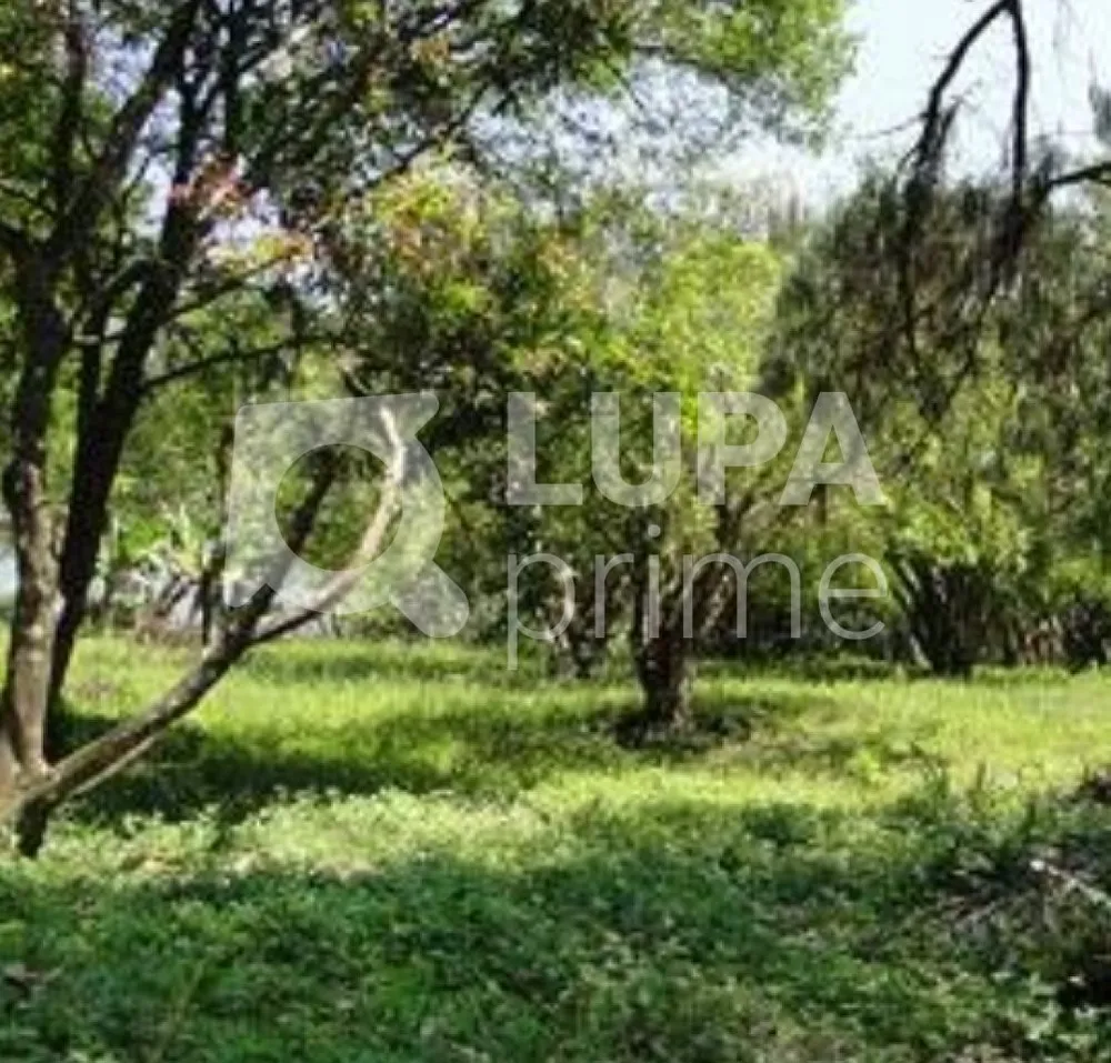 Terreno, 2 hectares - Foto 10