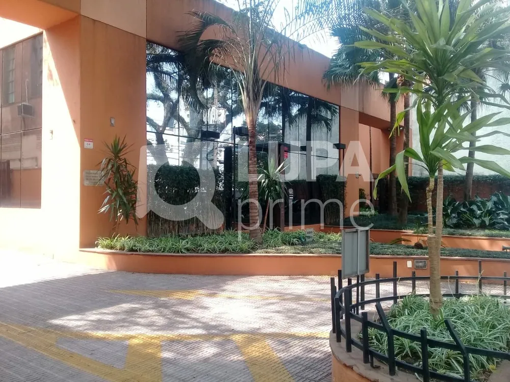 Sala-Conjunto, 247 m² - Foto 9