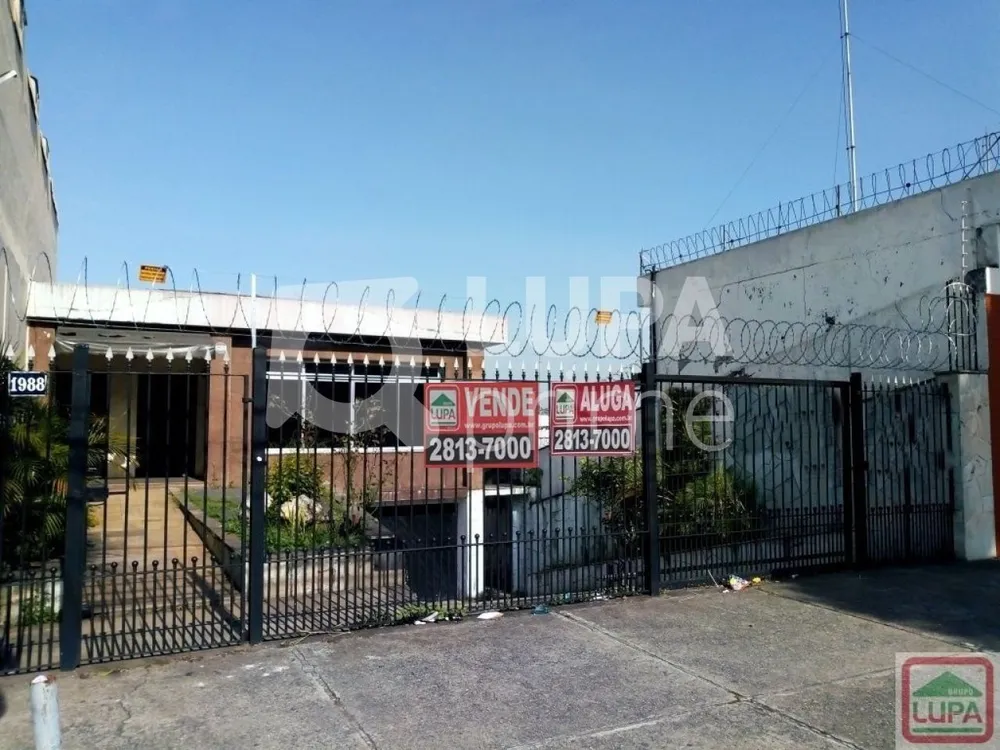 Casa, 3 quartos, 400 m² - Foto 10