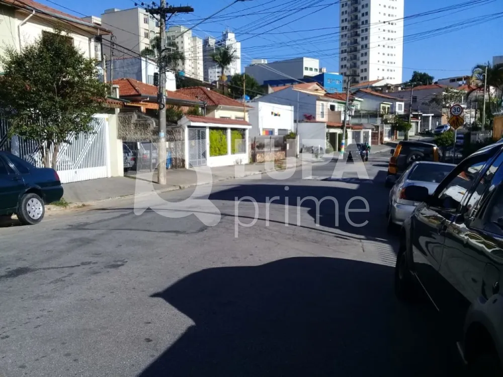Casa, 3 quartos, 381 m² - Foto 6