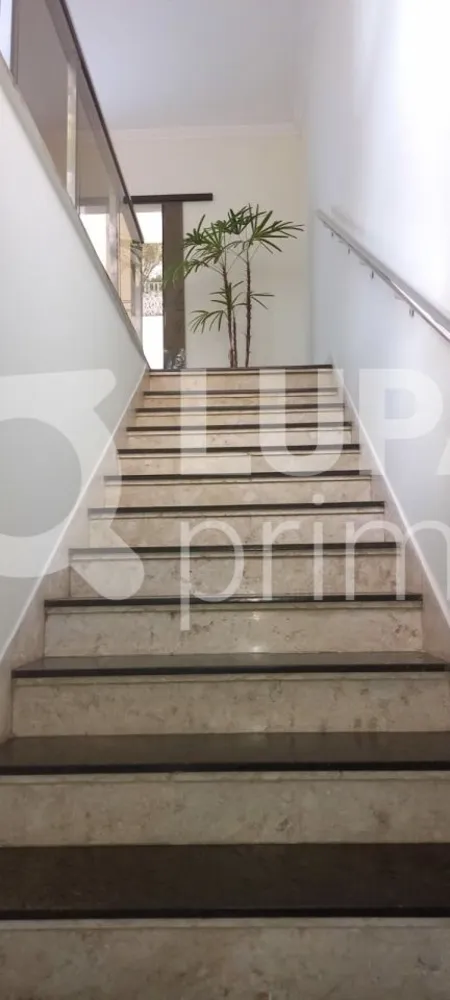 Casa, 3 quartos, 260 m² - Foto 10