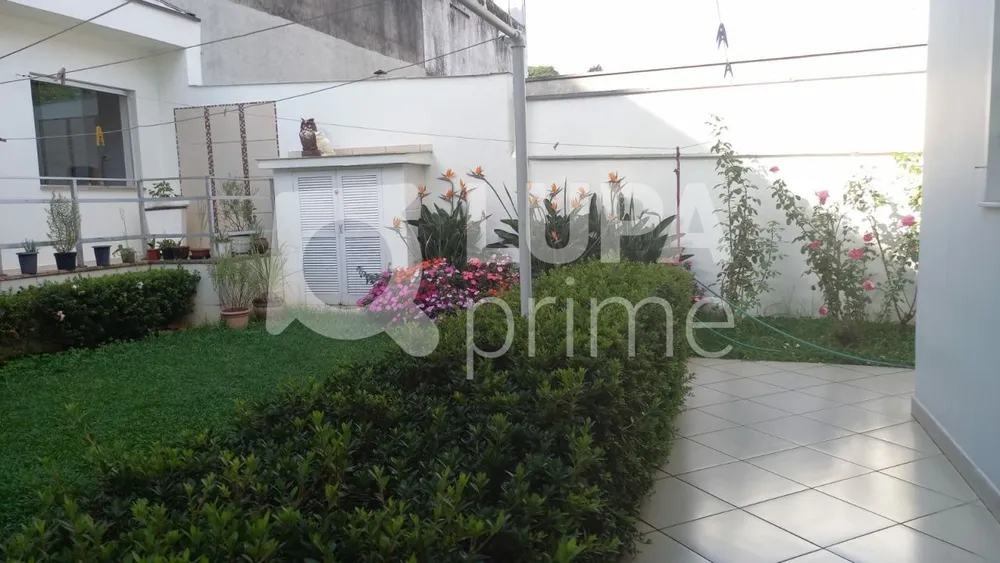Casa, 3 quartos, 260 m² - Foto 6