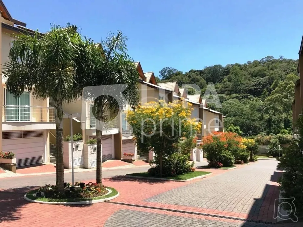 Casa, 4 quartos, 280 m² - Foto 12
