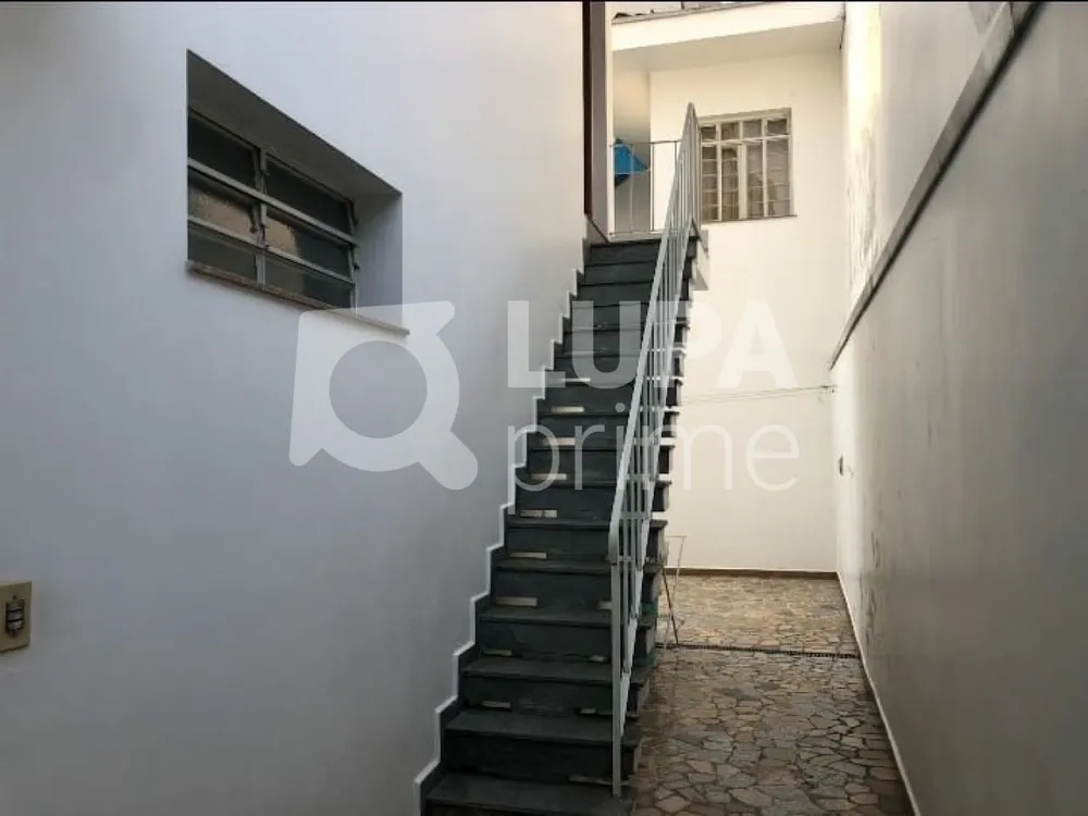 Casa, 3 quartos, 240 m² - Foto 5