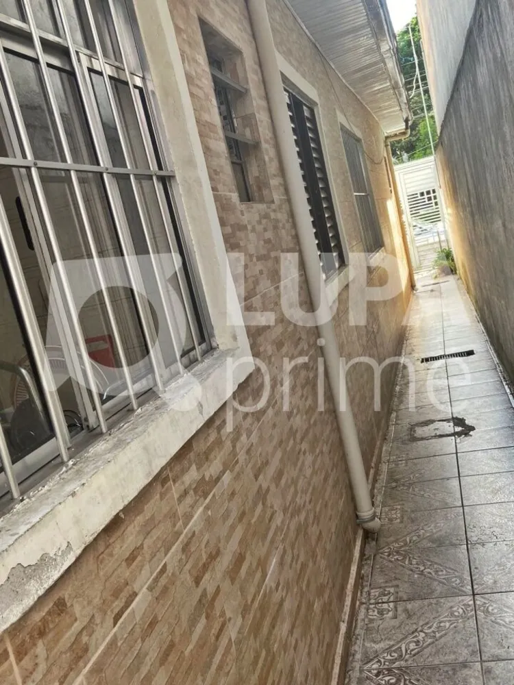 Casa, 6 quartos, 250 m² - Foto 12