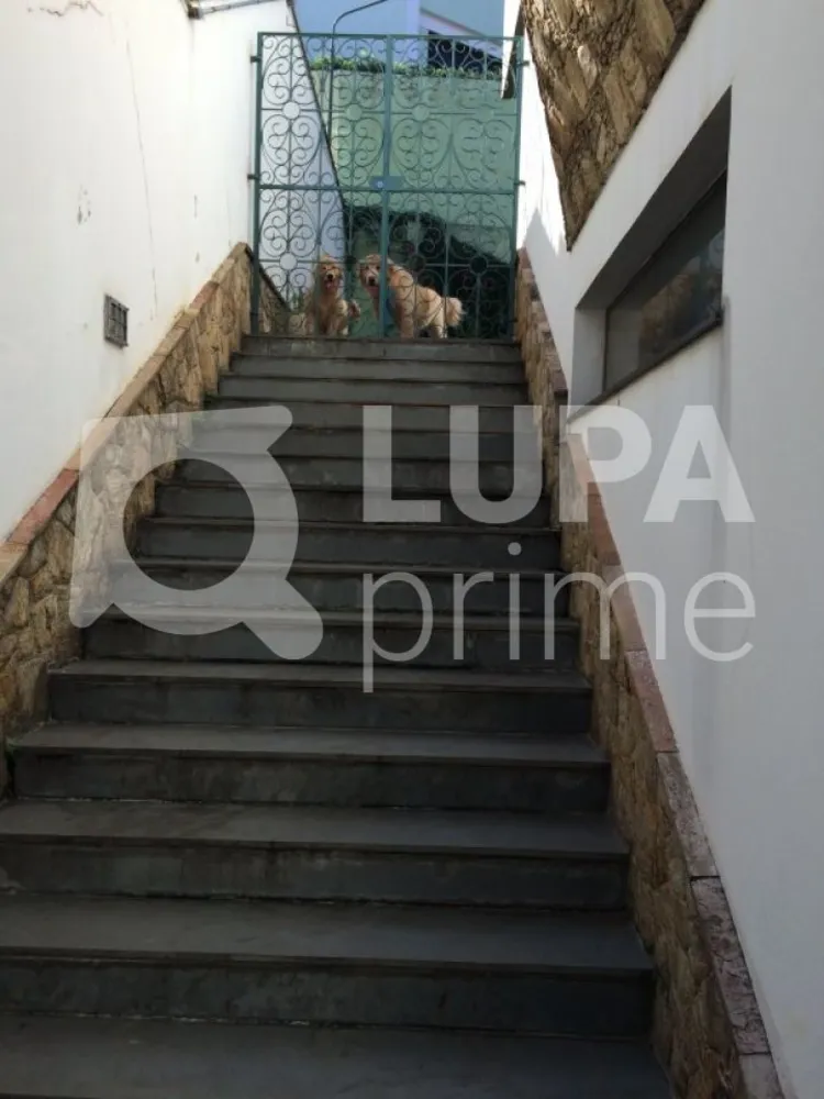 Casa, 4 quartos, 490 m² - Foto 6