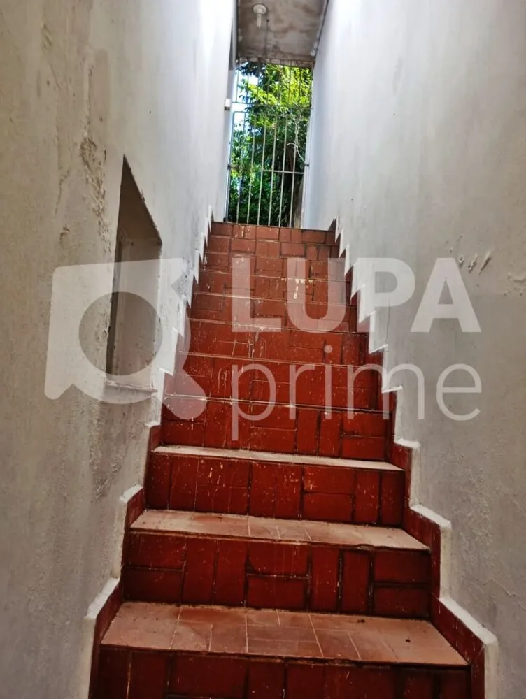 Casa, 4 quartos, 200 m² - Foto 26