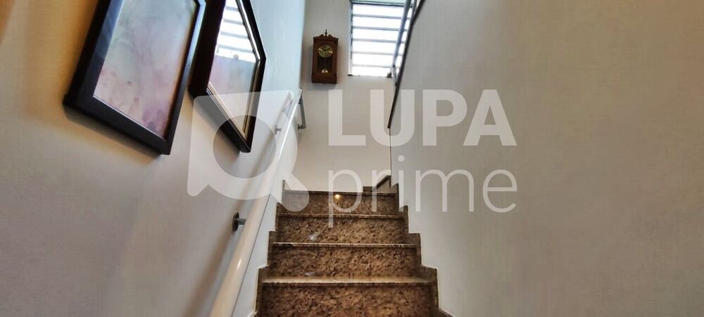 Casa, 3 quartos, 250 m² - Foto 4