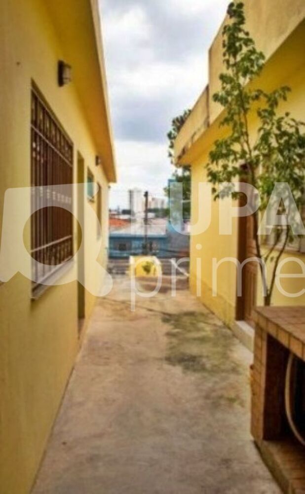 Casa, 4 quartos, 214 m² - Foto 6