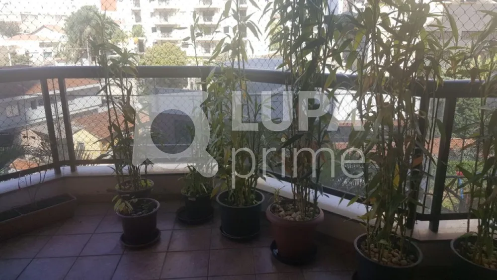 Apartamento, 4 quartos, 210 m² - Foto 16