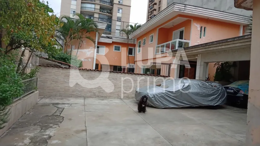 Casa, 4 quartos, 514 m² - Foto 11
