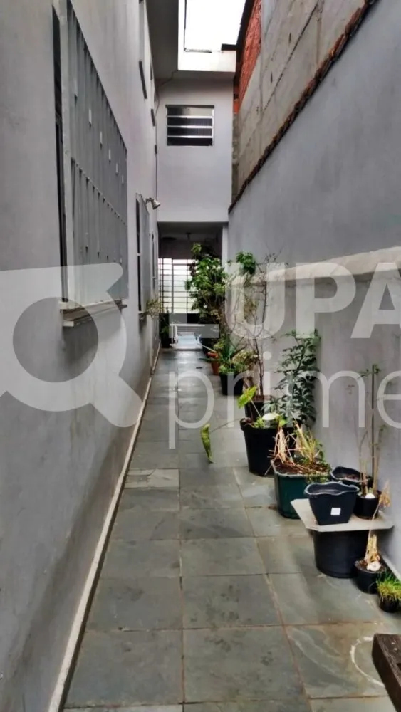 Casa, 4 quartos, 190 m² - Foto 5
