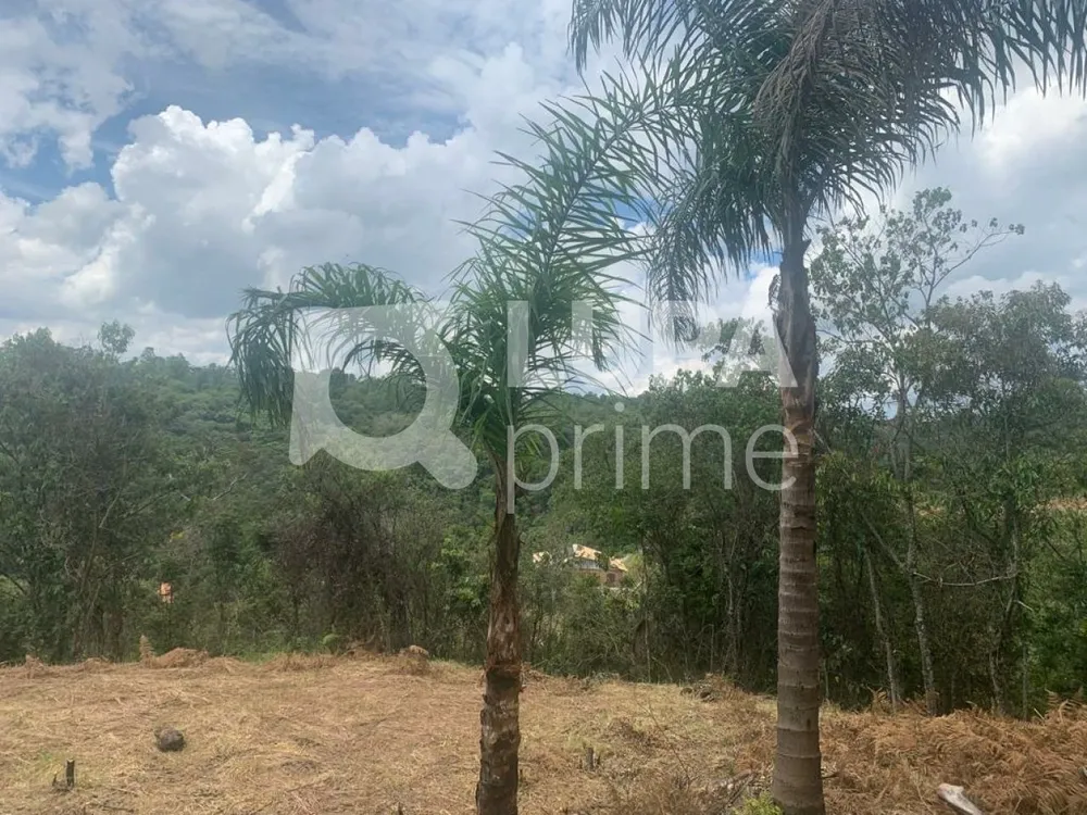 Terreno, 4376 m² - Foto 6