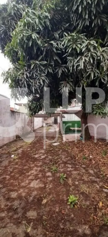 Terreno, 336 m² - Foto 9