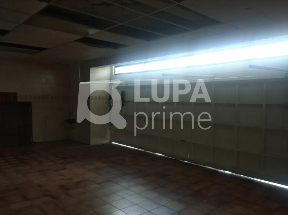 Casa, 3 quartos, 340 m² - Foto 12
