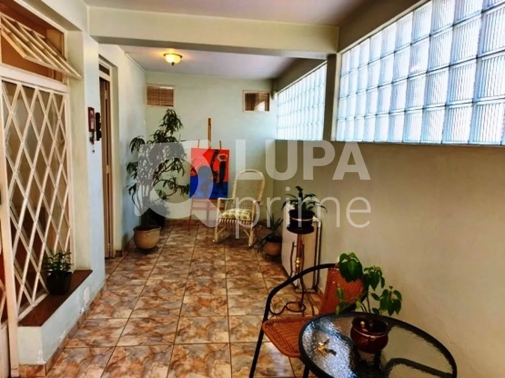Casa, 5 quartos, 220 m² - Foto 10
