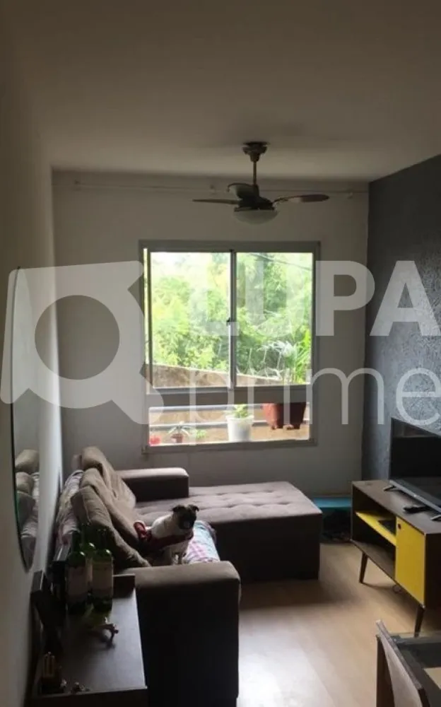 Apartamento, 2 quartos, 49 m² - Foto 2