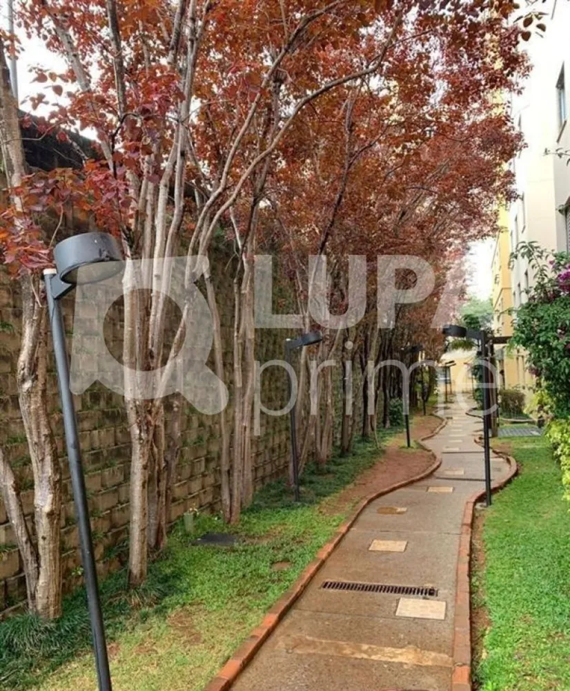 Apartamento, 2 quartos, 49 m² - Foto 11