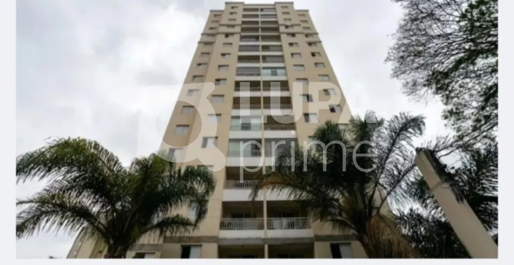 Casa, 2 quartos, 65 m² - Foto 4