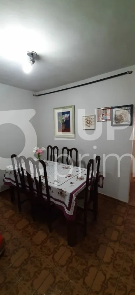 Casa, 4 quartos, 175 m² - Foto 11