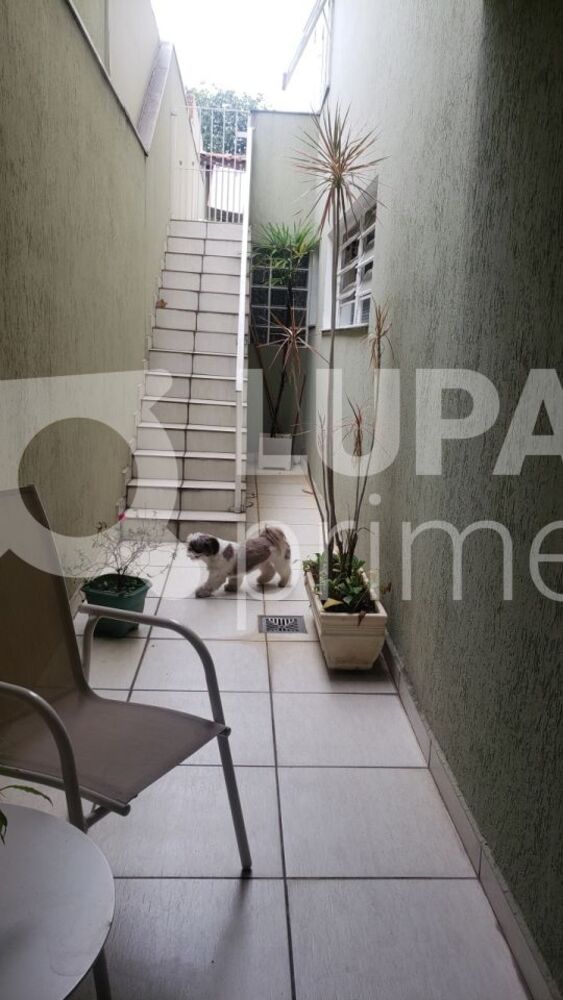 Casa, 3 quartos, 157 m² - Foto 7