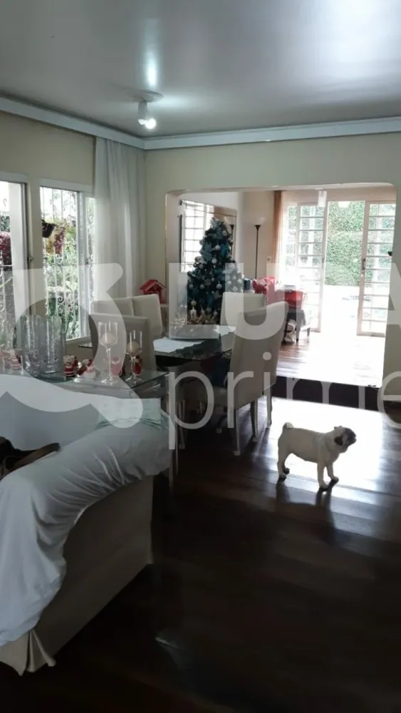 Casa, 3 quartos, 250 m² - Foto 8