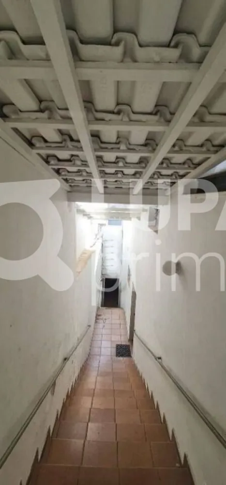 Casa, 3 quartos, 250 m² - Foto 9