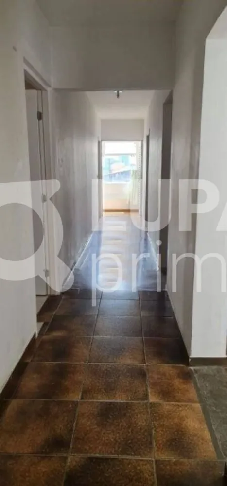 Casa, 3 quartos, 250 m² - Foto 7