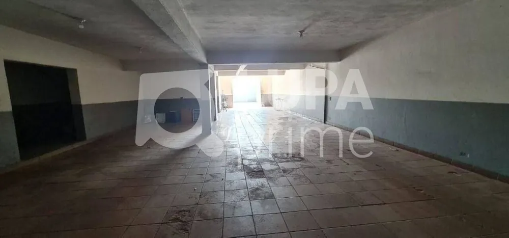 Casa, 3 quartos, 250 m² - Foto 14