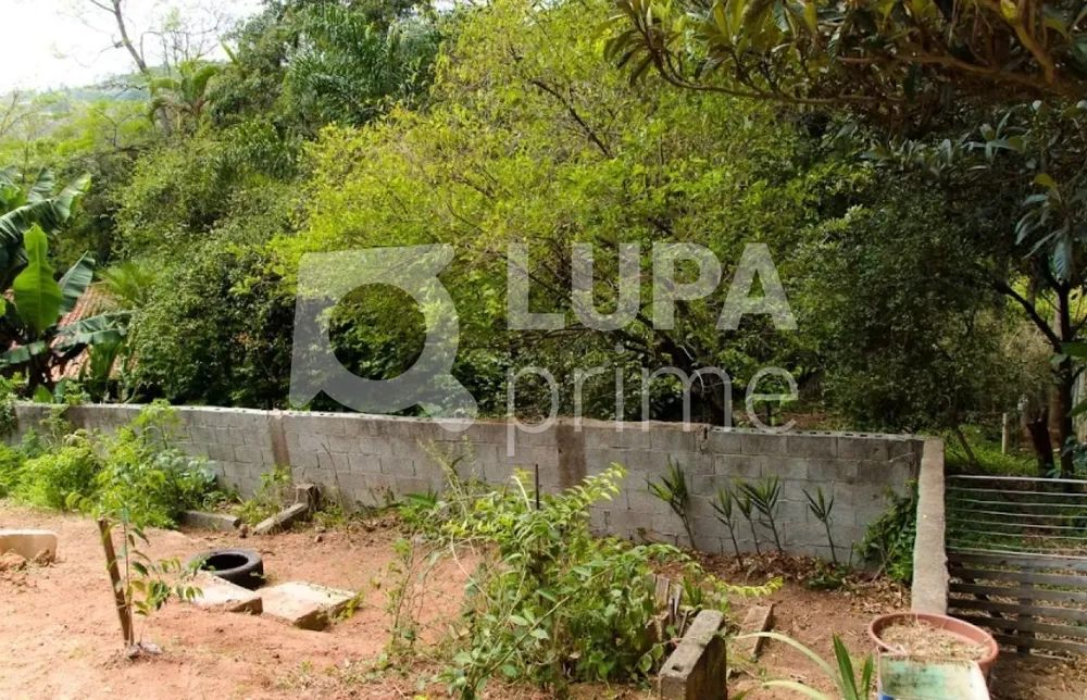 Casa, 4 quartos, 250 m² - Foto 12