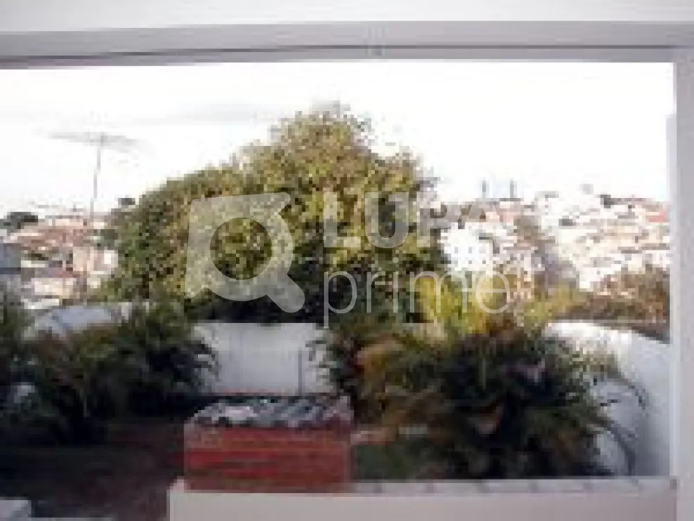 Casa, 3 quartos, 437 m² - Foto 11